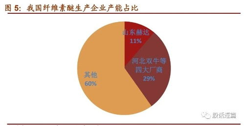 山东赫达 纤维素醚国内龙头,产能持续扩张,胶囊业务是公司未来增长重要突破口